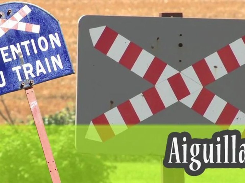 La vapeur du trieux et la locomotive Mallet du Train Thur Doller Alsace