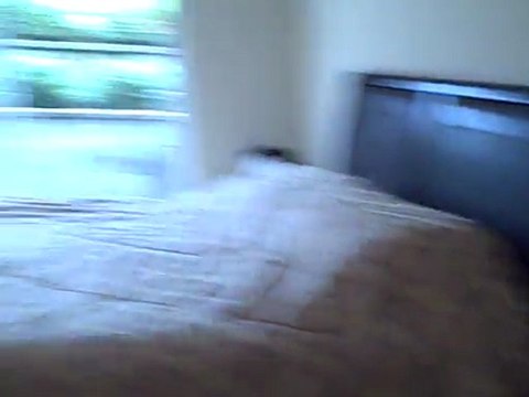 682 West 6th Avenue The Bohemia by Mike Stewart Vancouver Real Estate Agent