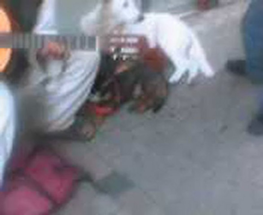 poesie de rue à angers ( dam déclam)