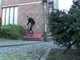 local bastard hasselt