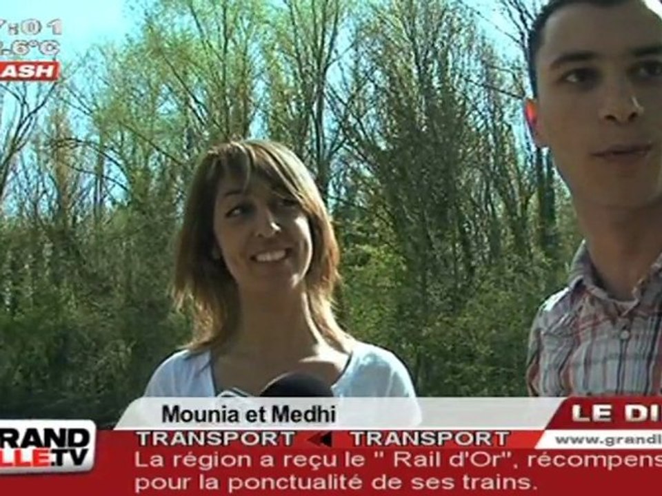 Un air d'été au Parc du Héron (Villeneuve d'Ascq)