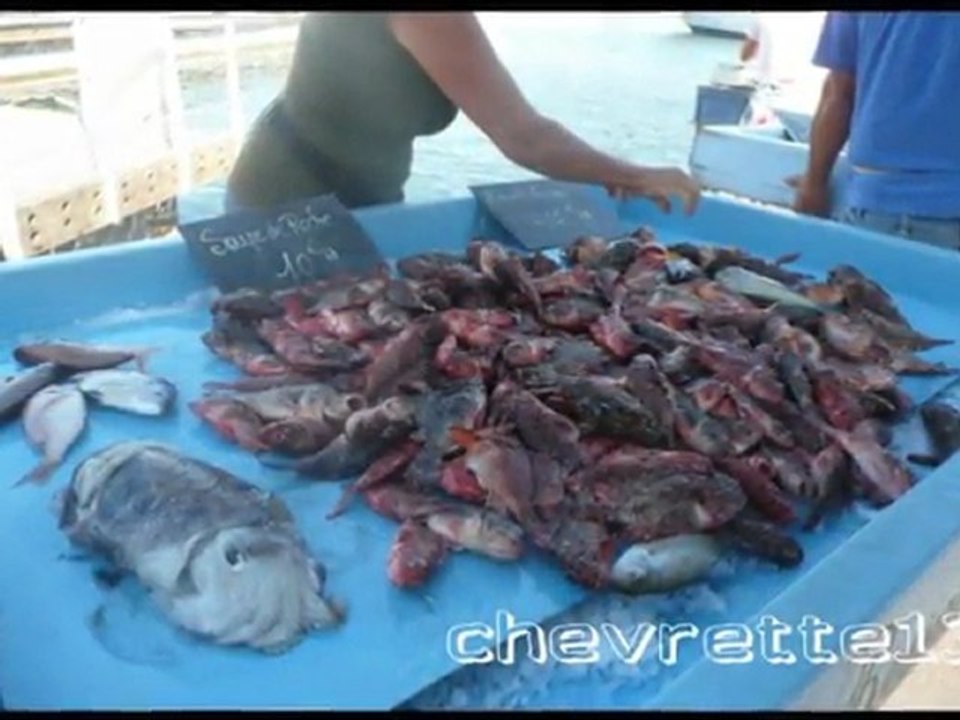 vieux port 2010 aout