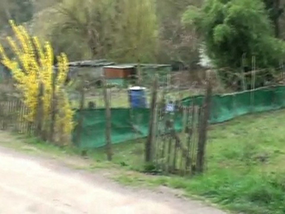 [Thouars] Mars 2011 " Cultures aux Jardins"