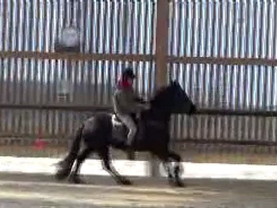 20110315113251