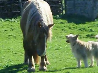 Sapri' J+4 : jeux avec Louis n°2 - avr11