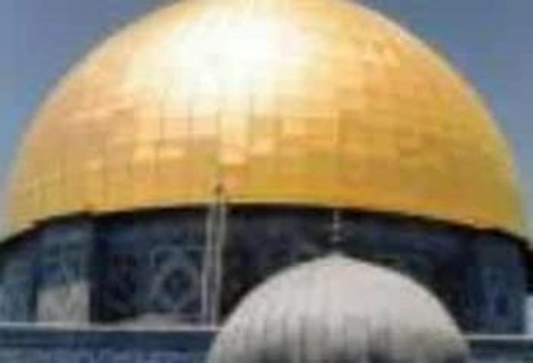 Palestine3 mieu q2
