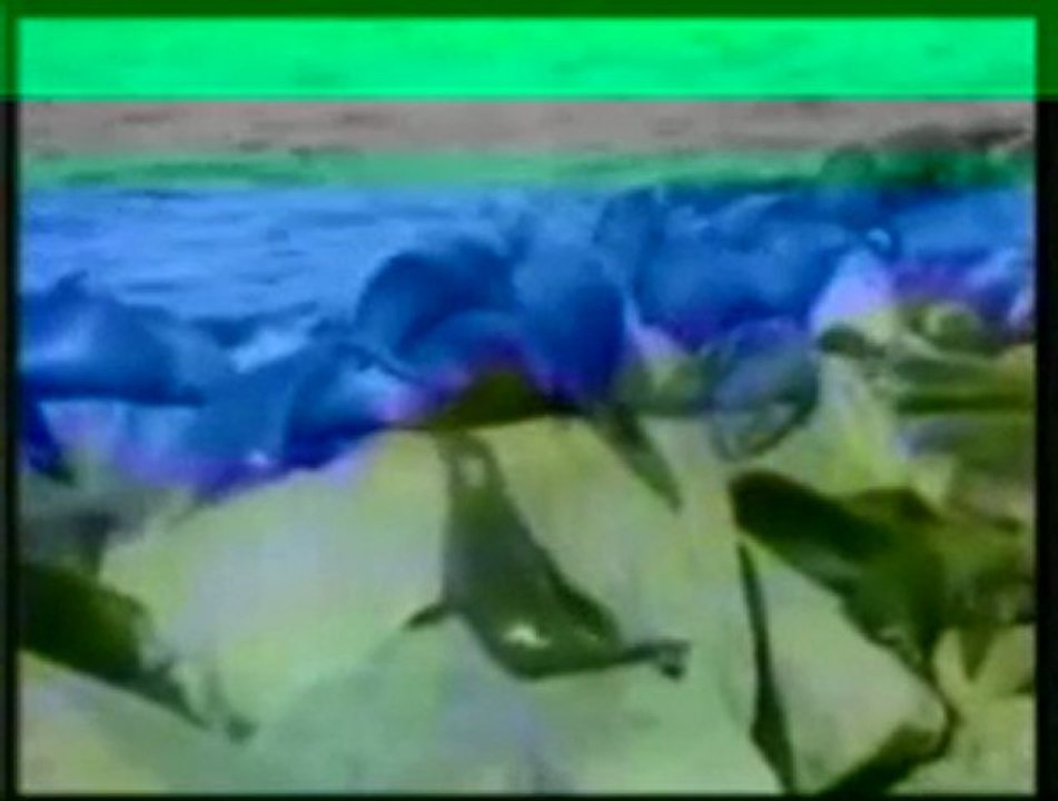 Delail İn Nur - En Güzel Salavatlar videosu dinle şarkısı indir klibi