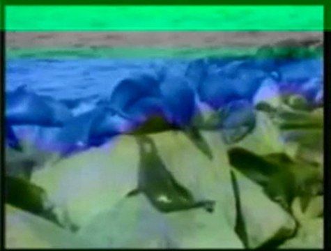 Delail İn Nur - En Güzel Salavatlar videosu dinle şarkısı indir klibi