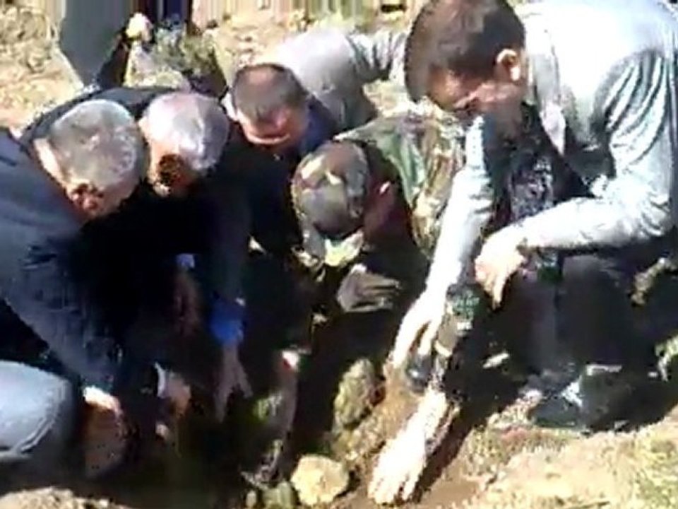 düzköy pois haftası ağaç dikimi