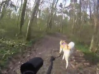 Entraînement Bike-Jörring Bunsai 06 avril 2011