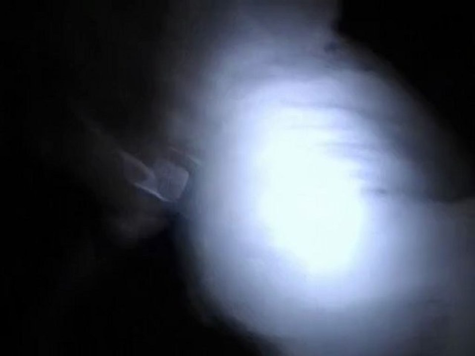 Wigos - eine zombigeschichte