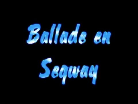 Segway au lac des Vieilles Forges (08)