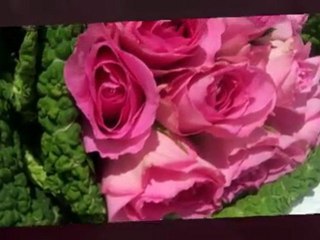 Avant l'Aube, au fil des saisons...