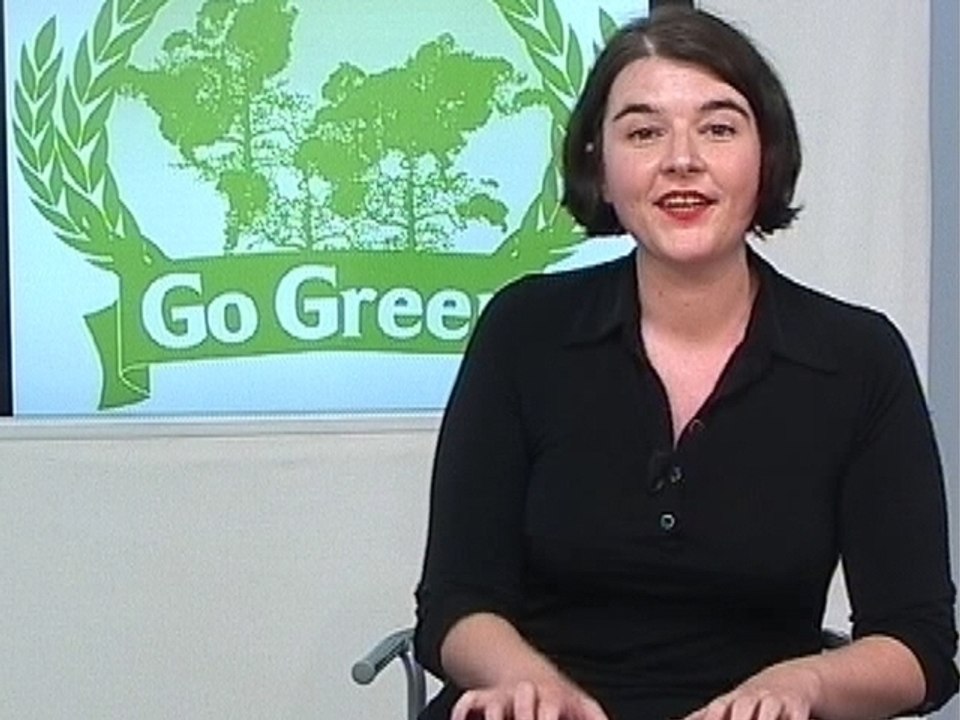 On va tout repeindre en vert - La Parisienne libérée