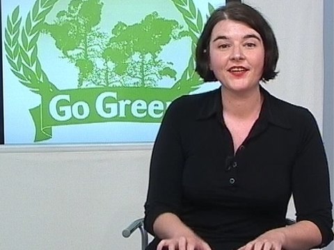 On va tout repeindre en vert - La Parisienne libérée