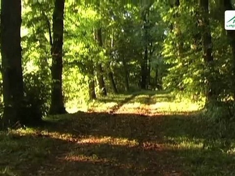 Réouverture du Domaine Royal de Randan en Auvergne