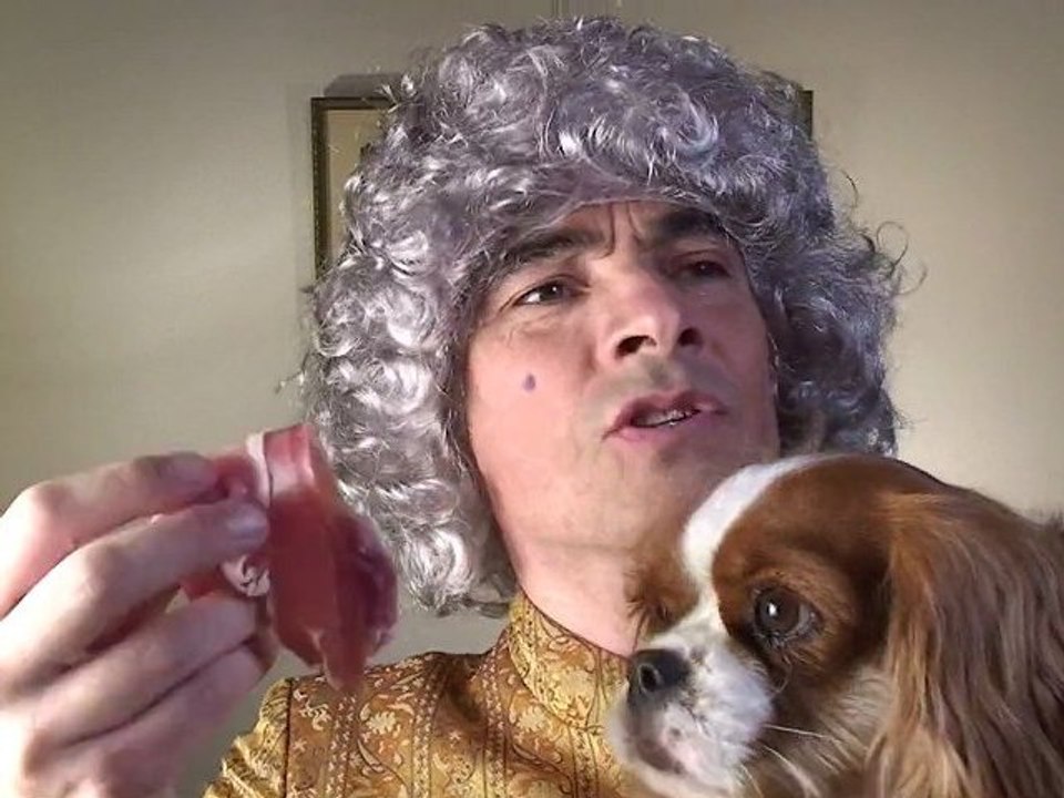 COMMENT JOUER AVEC UN ANIMAL ?