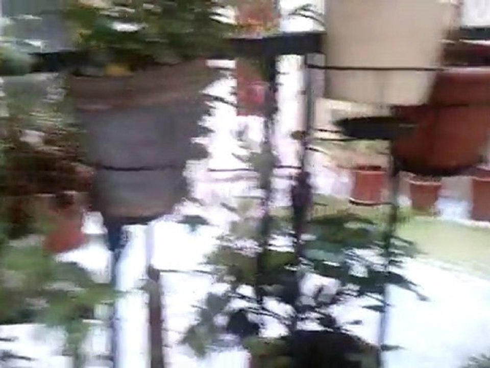 Vidéo 40 rue des Dames