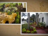 A Perfect Choice Landscaping Company/954-224-5119/Lawn/Turf