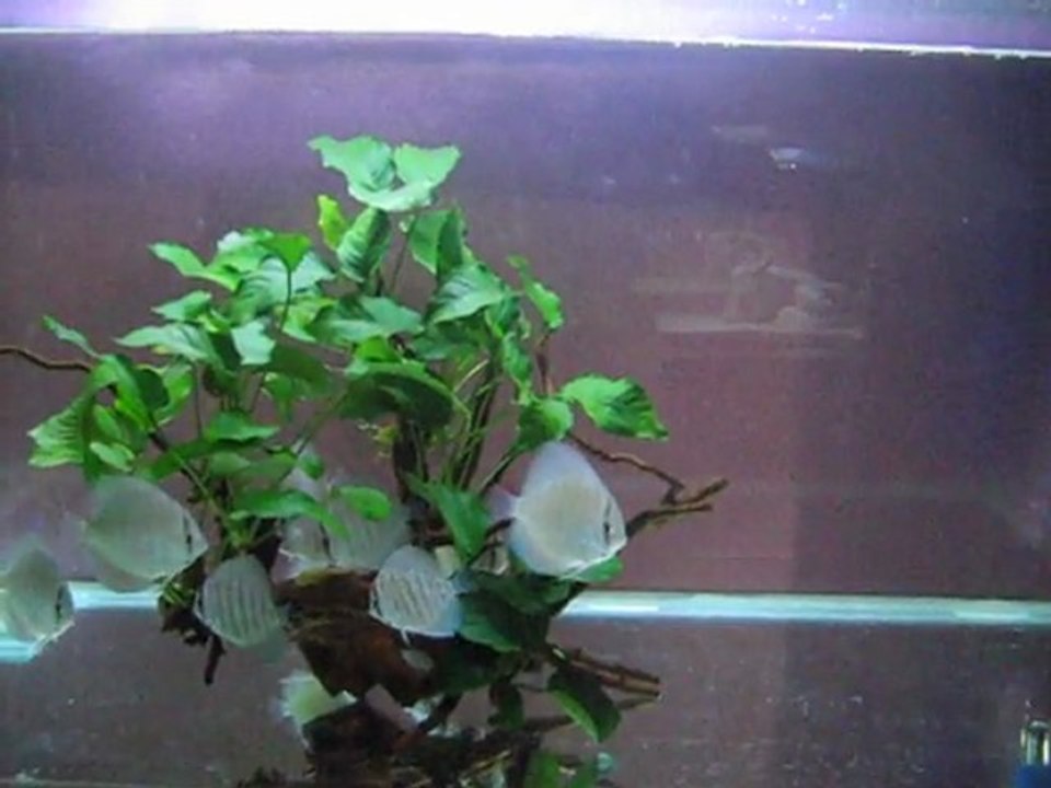 MVI_3291