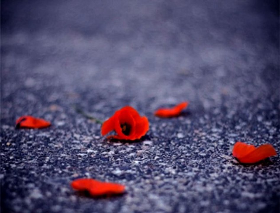 Clarinet & Piano enstrümantal