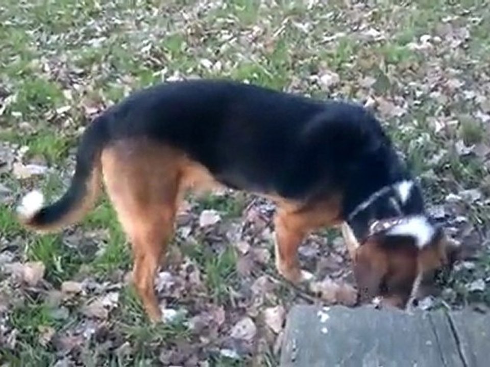 Ts Heidi mitum Bläcky