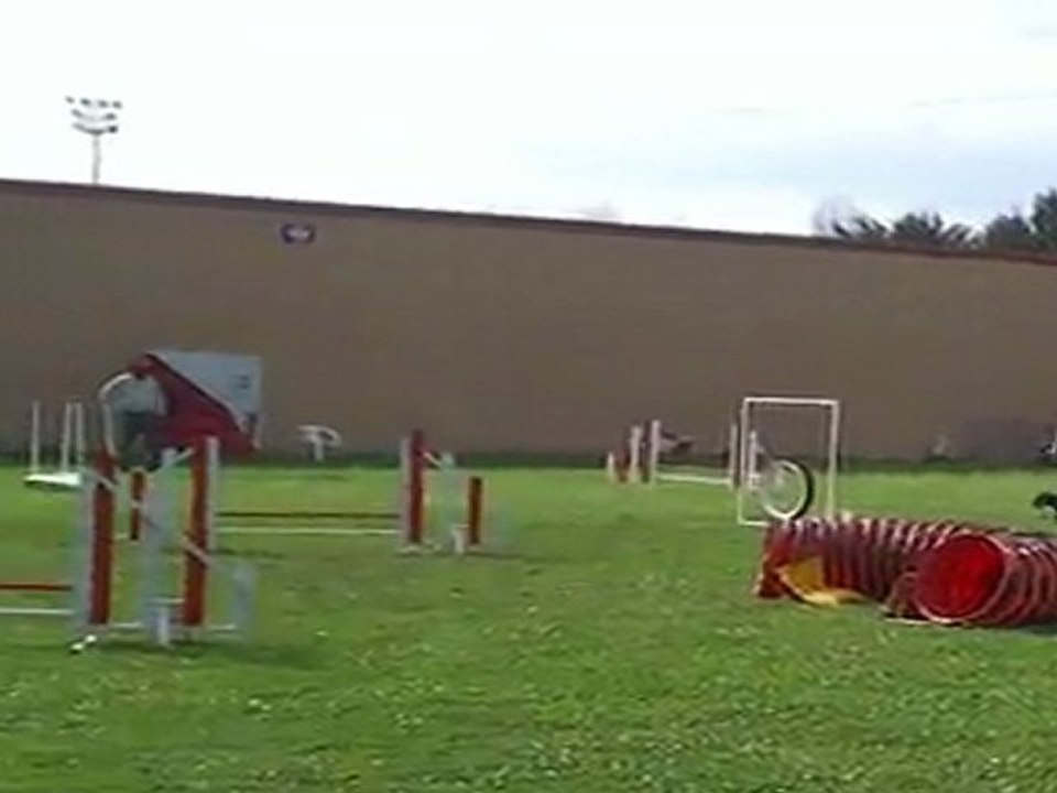 agility jumping BRIOUDE