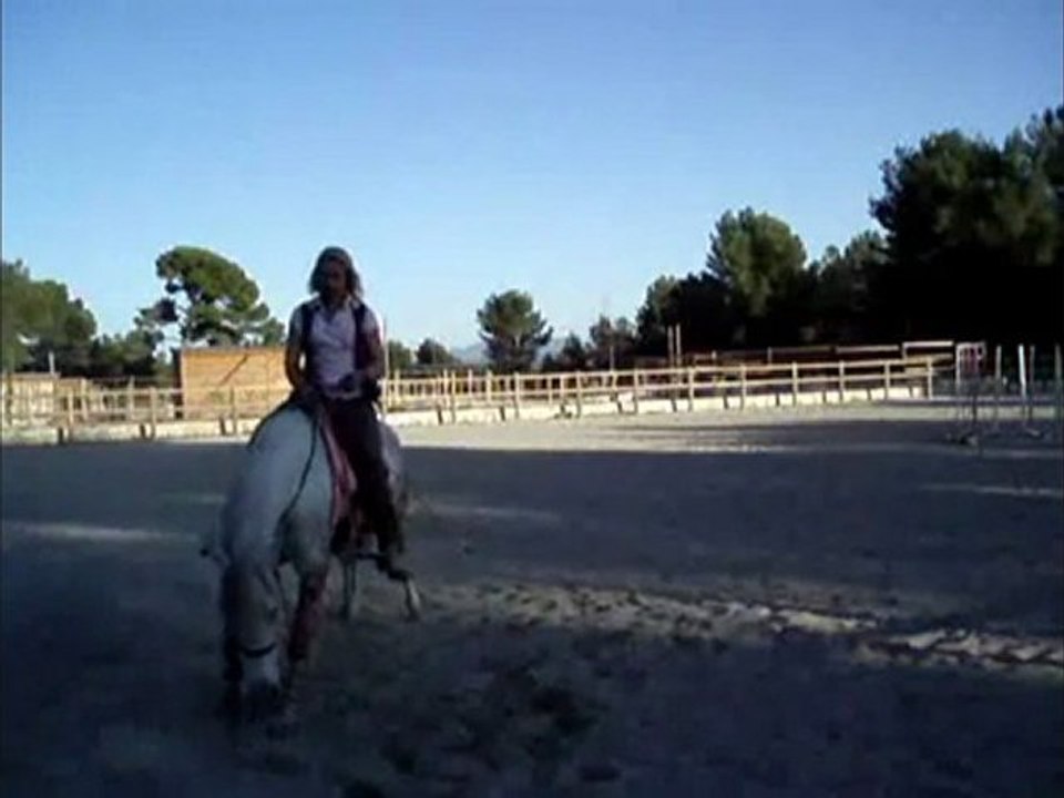 Derbie facéties équestres suite