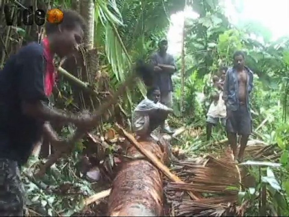 Sing Sing und Initiationszeremonie auf dem "migthy" Sepik in Papua Neu guinea