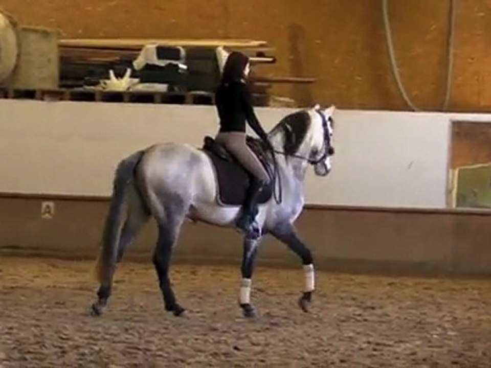 Raja 02042011