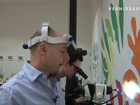 Henri Matisse: Acanthes. Conservation Project 2009 – 2012 at Fondation Beyeler