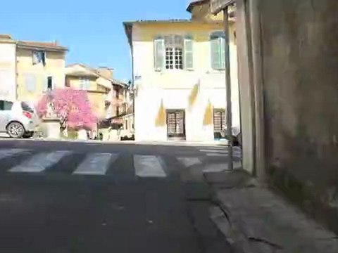 Automattic's Worldwide WP 5k