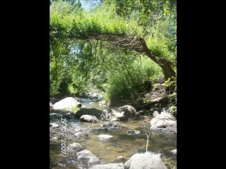 Cemal Öztaş - (Sevdasını Çektiğim Ey Nazlı Dilber)