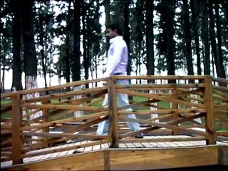 haydar ispir gönül