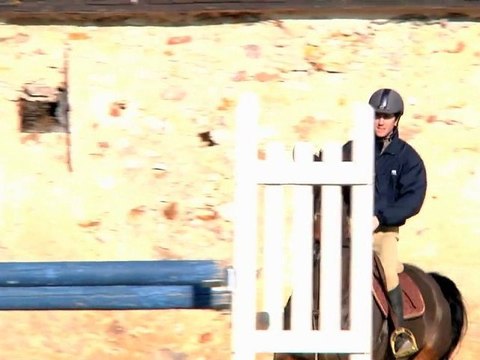 Le Haras de la Folie - Ecurie de propriétaire, pension de chevaux