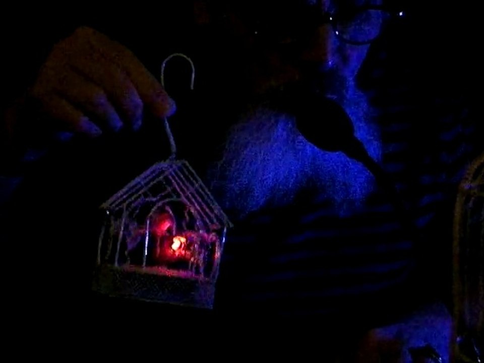 MESSIAEN ETHNIC BIRD ELECTRO  -  CLEMATRIX " J'IRAI JOUER CHEZ VOUS "