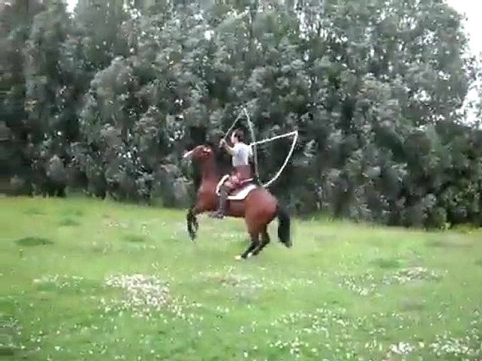 Un cheval saute à la corde