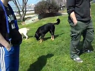 Mathilda ve sürü (rusty reyna karamel 2 bıcır till )