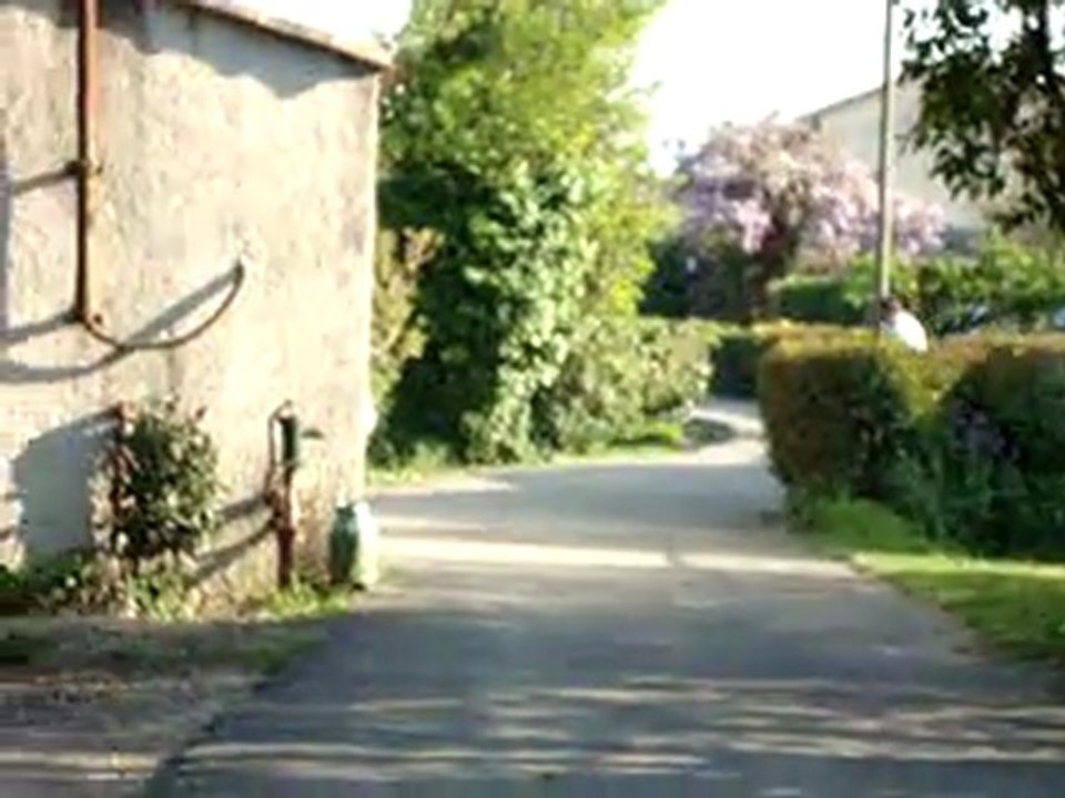 MOV00829