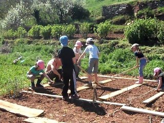 Les Carabistouilles aux mains vertes.