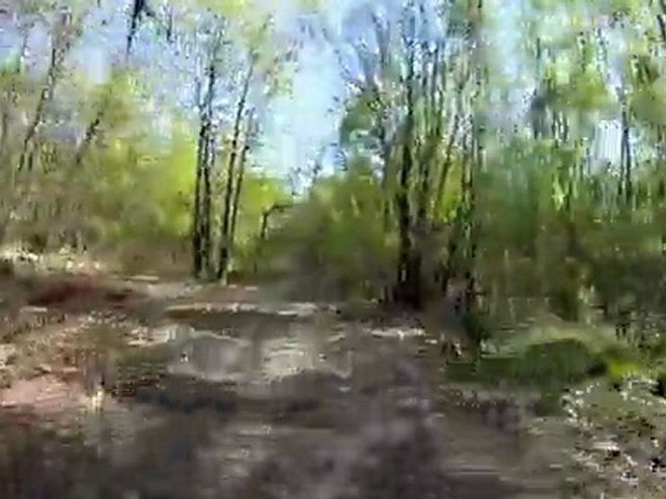 Quad 09_04_2011_01