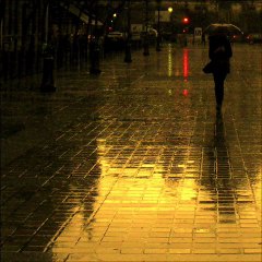 Sunset Boulevard ~ Nuit sur les Champs Elysées ~ Paris ~ MjYj
