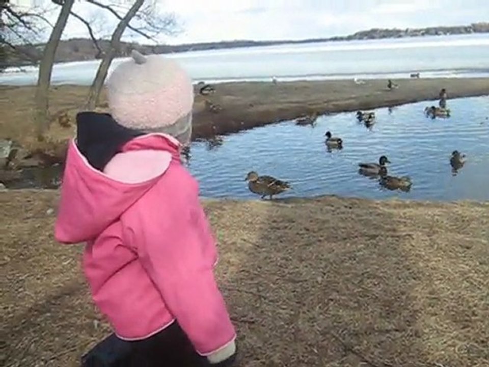 Hana et les canards