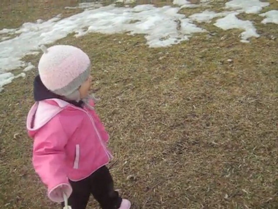 Hana, le biscuit et le canard