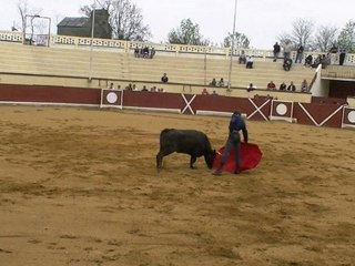 02.04.11 Orthez 2eme Sortie Francisco Marco Les Photos