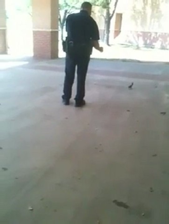 Law Enforcement Careers - Cop Maces Squirrel