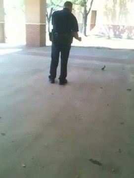 Law Enforcement Careers - Cop Maces Squirrel
