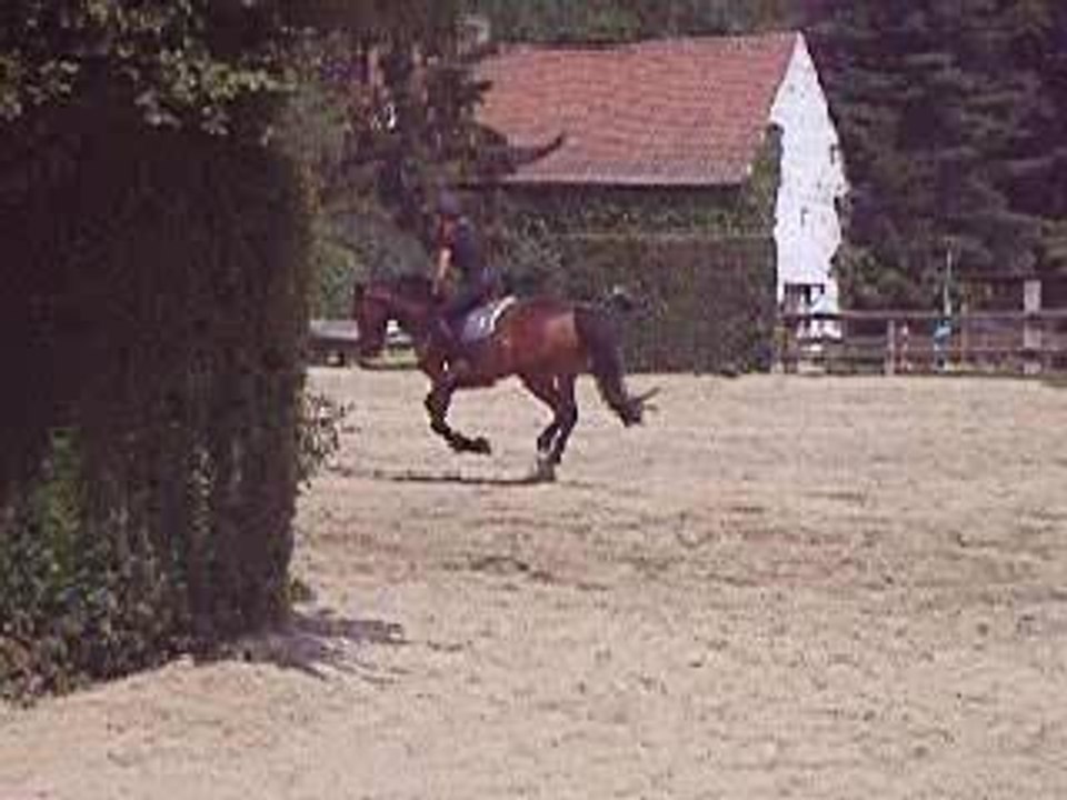 CHUTE ou presque ... de Lulu et marie