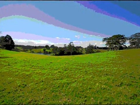 Vic Wide Conveyancing