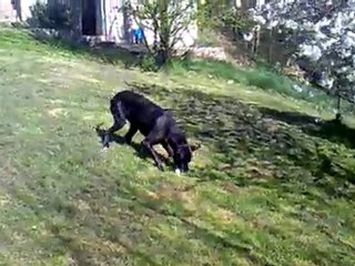 Le bonheur est dans le pré?